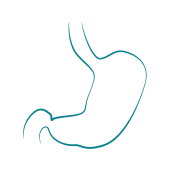 digestive icon